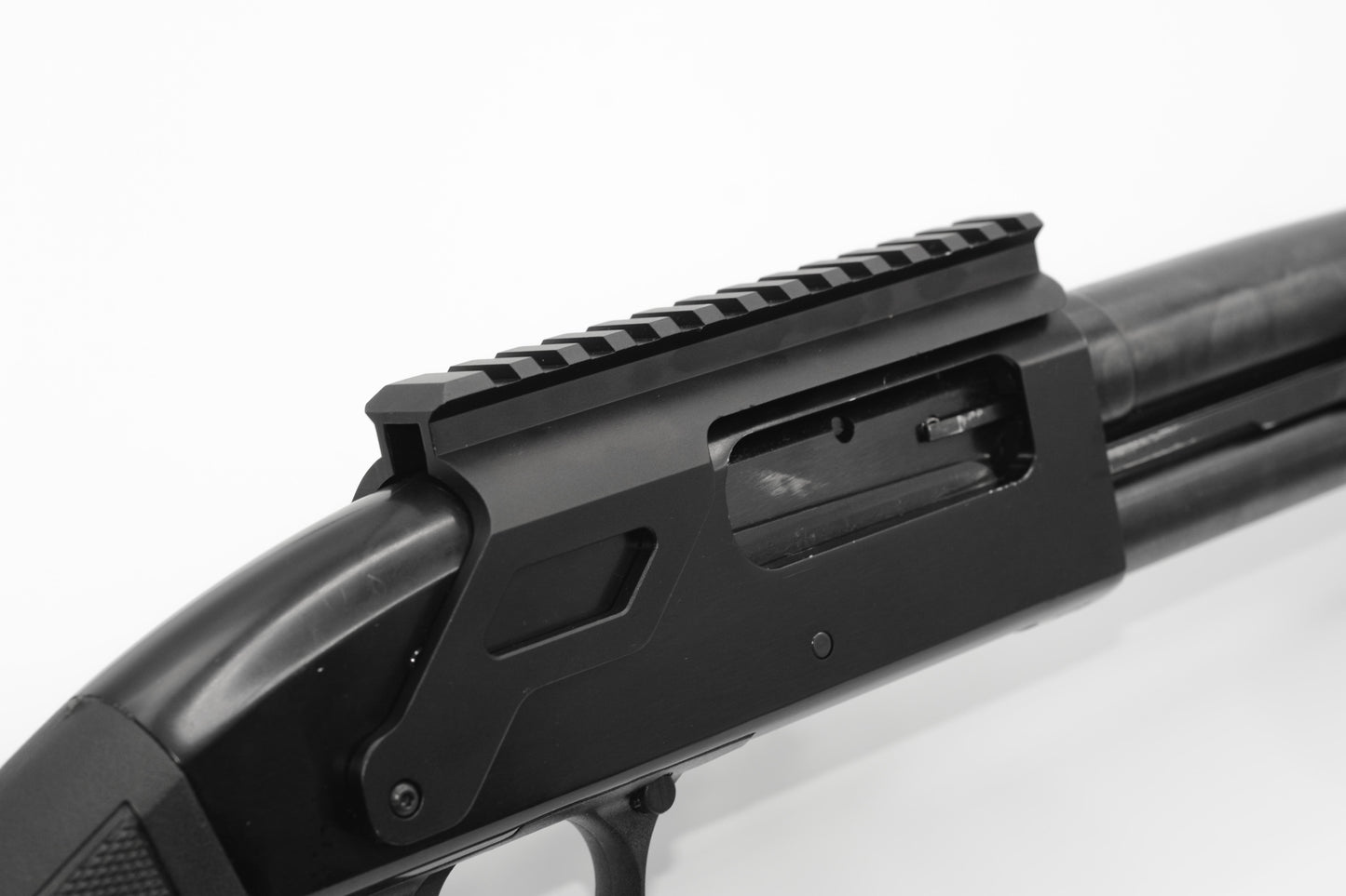 KOV SADDLEBACK 1